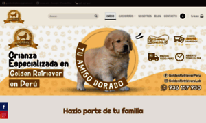 Goldenretrieverperu.com thumbnail