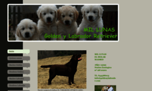 Goldenylabrador.com thumbnail