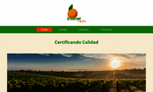 Greenfoodchile.cl thumbnail