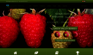 Greenvalleyberries.com thumbnail