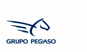 Grupo-pegaso.com thumbnail