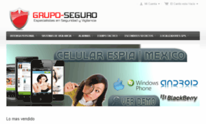 Grupo-seguro.com.mx thumbnail