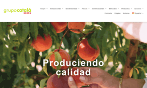 Grupocatala.com thumbnail