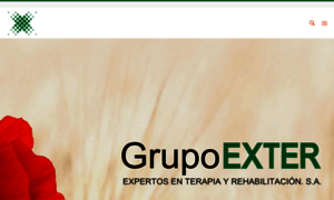 Grupoexter.com thumbnail