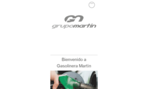 Grupomartin.mx thumbnail