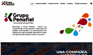 Grupopenafiel.com.mx thumbnail