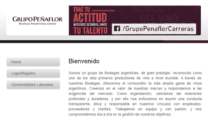 Grupopenaflor.bumeran.com.ar thumbnail