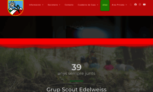 Gruposcoutedelweiss.com thumbnail