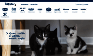 Grupotrixder.com thumbnail