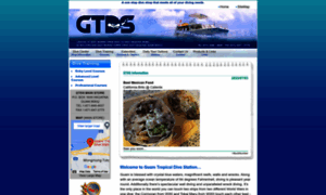 Gtds.com thumbnail