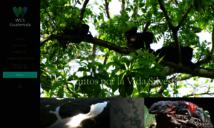 Guatemala.wcs.org thumbnail