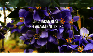 Guayacanreal.com thumbnail