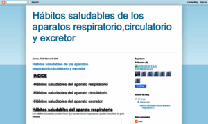 Habitossaludablesderespcirexcre.blogspot.com.es thumbnail