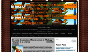 Hachisbueno.com thumbnail