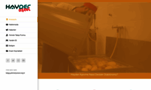 Hayderasevi.com thumbnail