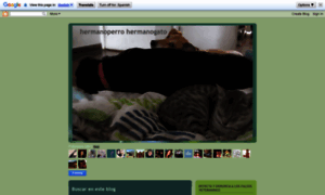 Hermanoperro-hermanogato.blogspot.com thumbnail