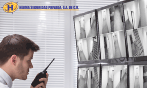 Hermaseguridad.com.mx thumbnail