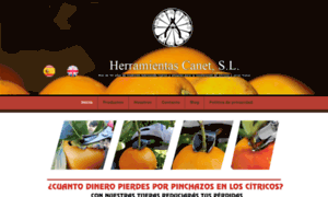Herramientas-canet.com thumbnail