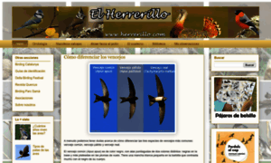 Herrerillo.com thumbnail