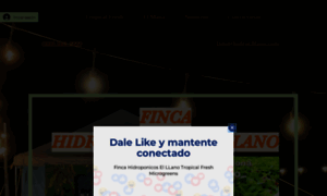 Hidroponicoselllano.com thumbnail