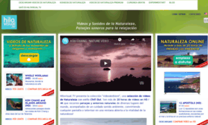 Hilovisual.tv thumbnail
