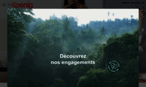 Hkoenig.com thumbnail