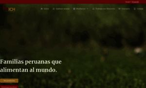 Holguinperu.com thumbnail