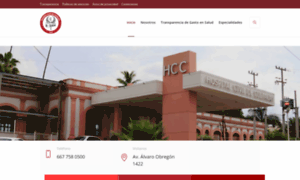 Hospitalcivil.gob.mx thumbnail