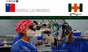 Hospitallashigueras.cl thumbnail