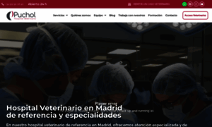 Hospitalveterinariopuchol.com thumbnail