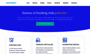 Hostingnet.pe thumbnail