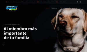 Houseofpets.com.mx thumbnail