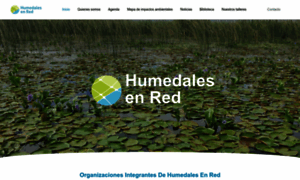 Humedalesenred.org thumbnail