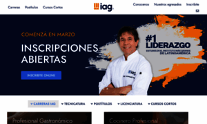 Iag.com.ar thumbnail