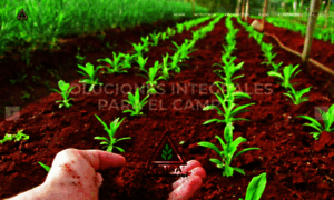 Iausa.com.mx thumbnail