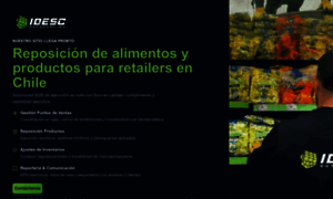 Idesc-outsourcing.cl thumbnail