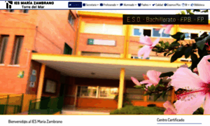 Iesmariazambrano.org thumbnail