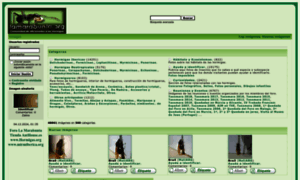 Imagenes.lamarabunta.org thumbnail