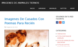 Imagenesdeanimalestiernos.net thumbnail