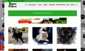 Imagenesdegatos.net thumbnail