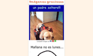 Imagenesgraciosas.felicitaciondecumpleanos.com thumbnail
