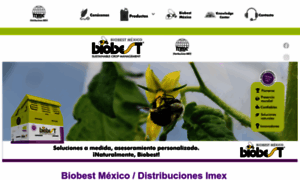 Imex.mx thumbnail