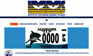 Imms.org thumbnail
