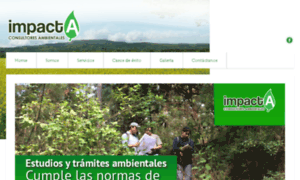 Impactambiental.com.mx thumbnail