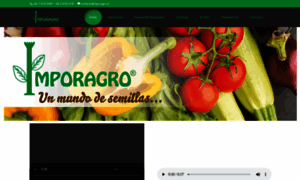 Imporagro.cl thumbnail