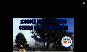 Imsi.mx thumbnail