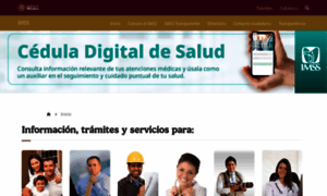 Imss.gob.mx thumbnail
