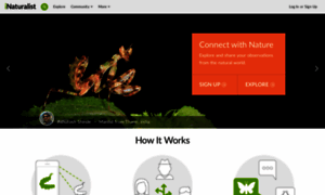 Inaturalist.org thumbnail