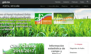Infocana.gob.mx thumbnail