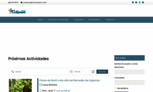 Infocoliseum.com thumbnail